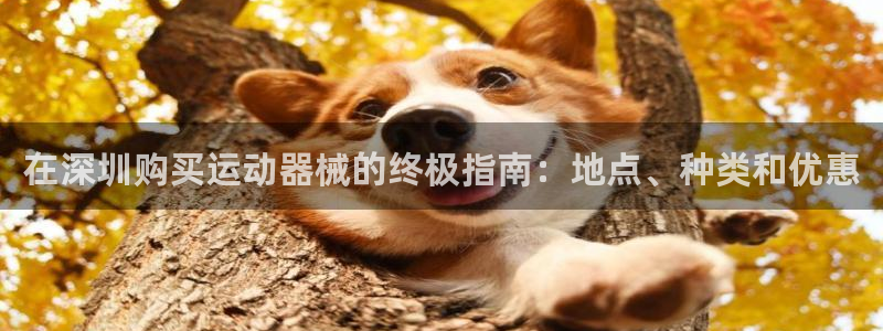 尊龙品牌怎么样：在深圳购买运动器械的终极指南：地点、