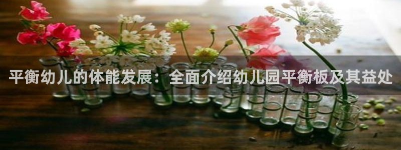 尊龙凯时取款一直支付中：平衡幼儿的体能发展：全面介绍