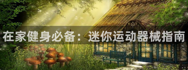 尊龙凯时d3563：在家健身必备：迷你运动器械指南