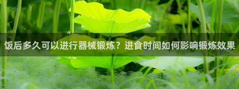 尊龙手机客户端下载APP：饭后多久可以进行器械锻炼？