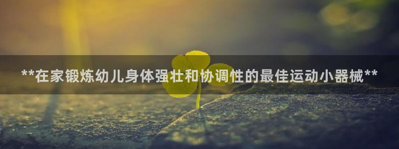 尊龙eight is enough：**在家锻炼幼儿
