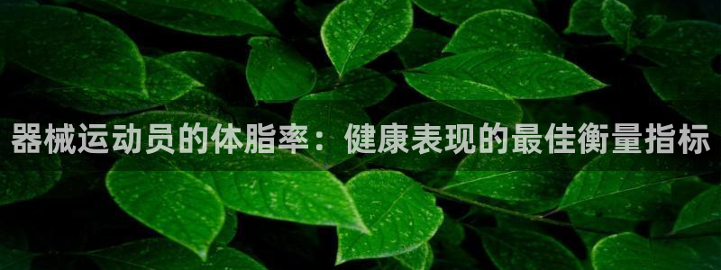 尊龙专访：器械运动员的体脂率：健康表现的最佳衡量指标