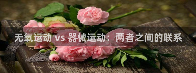 kb88凯时会员登录：无氧运动 vs 器械运动：两者