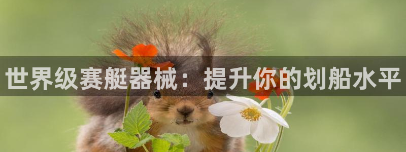 尊龙凯时新闻：世界级赛艇器械：提升你的划船水平