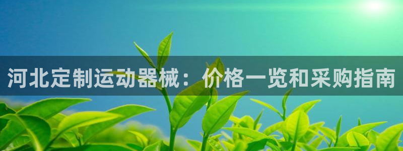 尊龙凯时官网入口：河北定制运动器械：价格一览和采购指