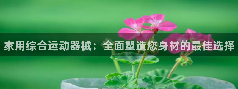 尊龙凯时百万奖池：家用综合运动器械：全面塑造您身材的