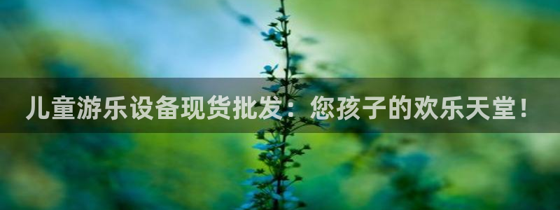 尊龙凯时平台不给出款怎么办： 儿童游乐设备现货批发：