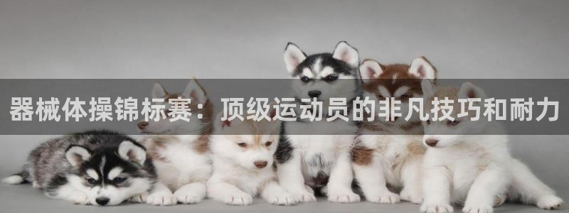凯时官网手机版首页：器械体操锦标赛：顶级运动员的非凡
