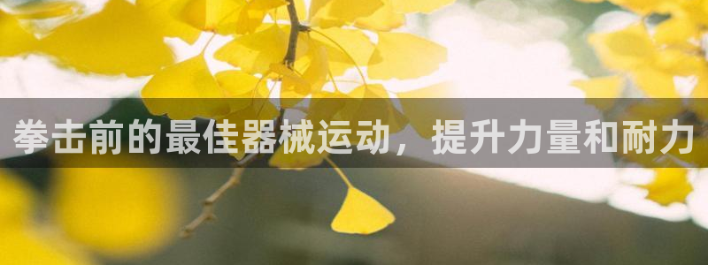 尊龙游戏官网游戏特色：拳击前的最佳器械运动，提升力量