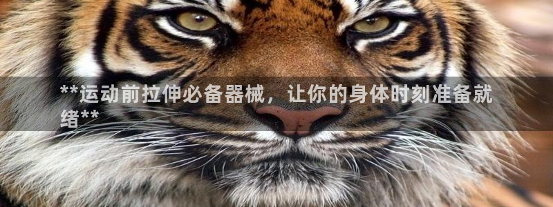 下载凯时AG旗舰厅首页：**运动前拉伸必备器械，让你