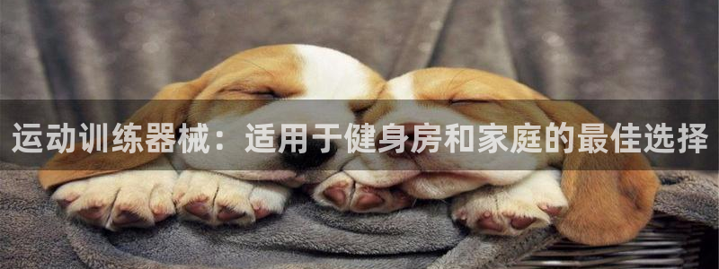 尊龙凯时d5138：运动训练器械：适用于健身房和家庭