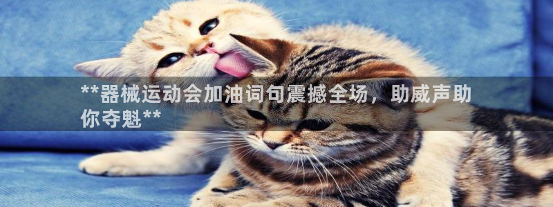 凯时是AG优质运营商：**器械运动会加油词句震撼全场