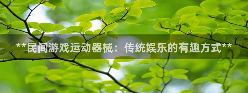 尊龙凯时登入首页：**民间游戏运动器械：传统娱乐的有