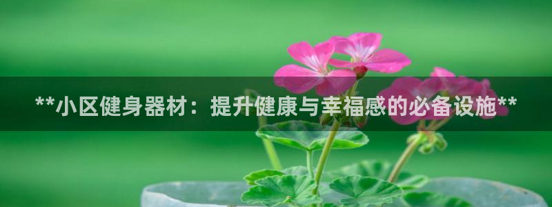 凯时ag旗舰厅网址是什么：**小区健身器材：提升健康