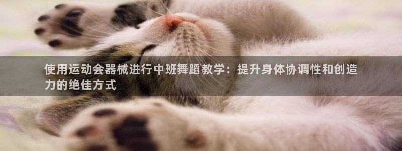 尊龙人生就是博登录：使用运动会器械进行中班舞蹈教学：