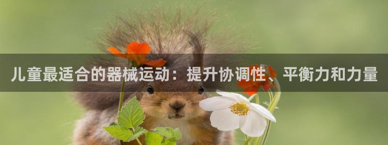 尊龙手机官方客户端下载安装：儿童最适合的器械运动：提