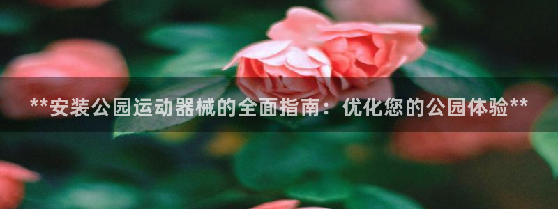 尊龙旗舰app：**安装公园运动器械的全面指南：优化