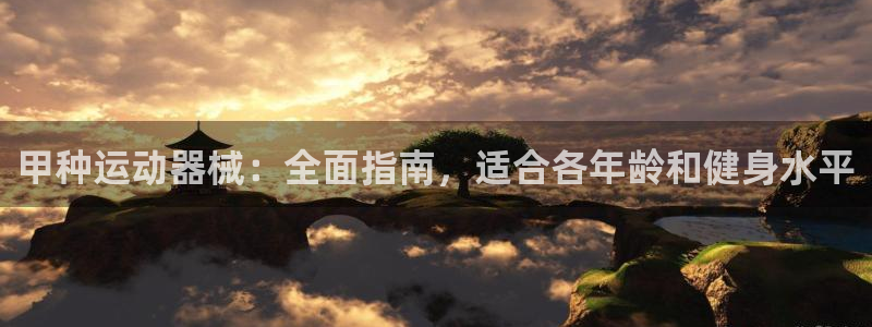 尊龙凯时平台不给出款怎么办：甲种运动器械：全面指南，