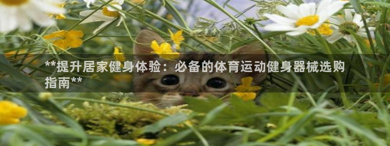 凯时是AG优质运营商：**提升居家健身体验：必备的体