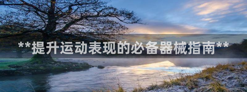 尊龙新版官网网页版：**提升运动表现的必备器械指南*