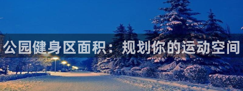 尊龙官网手机版下载：公园健身区面积：规划你的运动空间