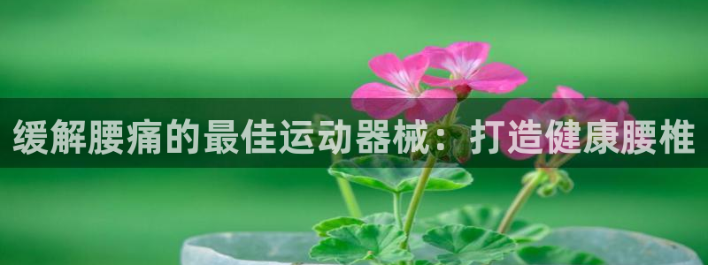 尊龙人生就是博ag：缓解腰痛的最佳运动器械：打造健康