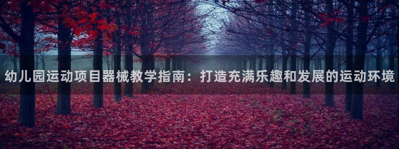 尊龙凯时z6官网：幼儿园运动项目器械教学指南：打造充