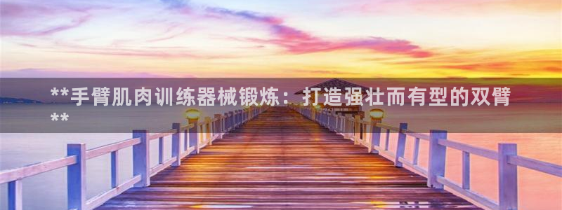 尊龙凯时处理未到账：**手臂肌肉训练器械锻炼：打造强