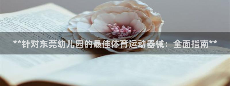 尊龙凯时有假么：**针对东莞幼儿园的最佳体育运动器械