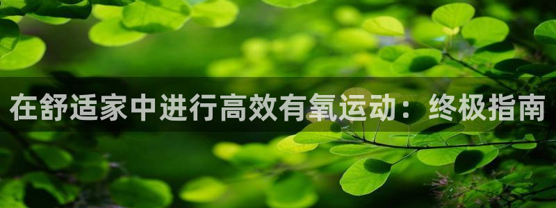 尊龙贴吧：在舒适家中进行高效有氧运动：终极指南
