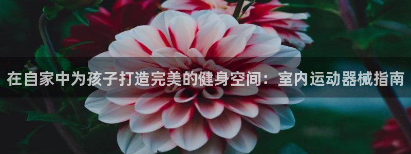 尊龙网址是选访问zd207：在自家中为孩子打造完美的