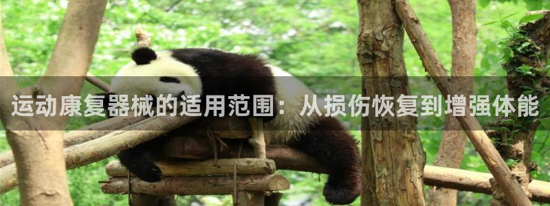 尊龙网站登录：运动康复器械的适用范围：从损伤恢复到增