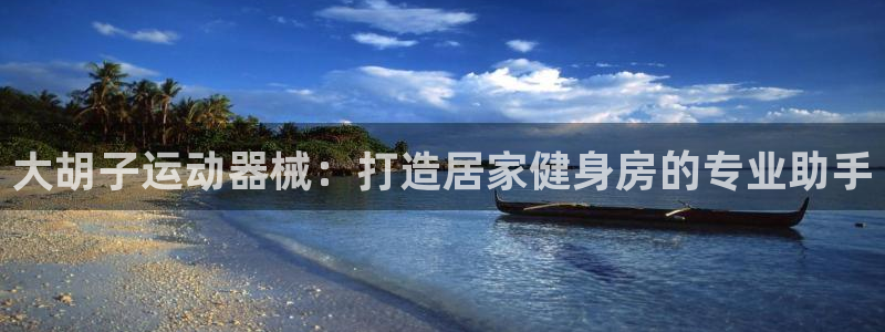 凯时尊龙app国际官方网站：大胡子运动器械：打造居家
