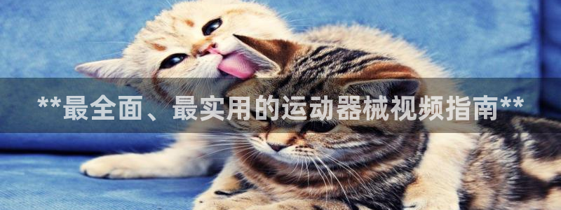 尊龙2020：**最全面、最实用的运动器械视频指南*