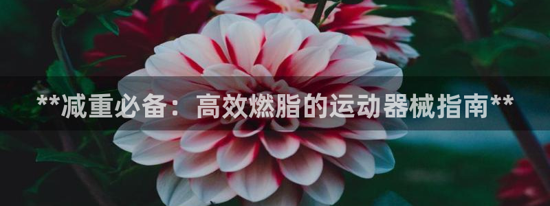 尊龙d88平台：**减重必备：高效燃脂的运动器械指南