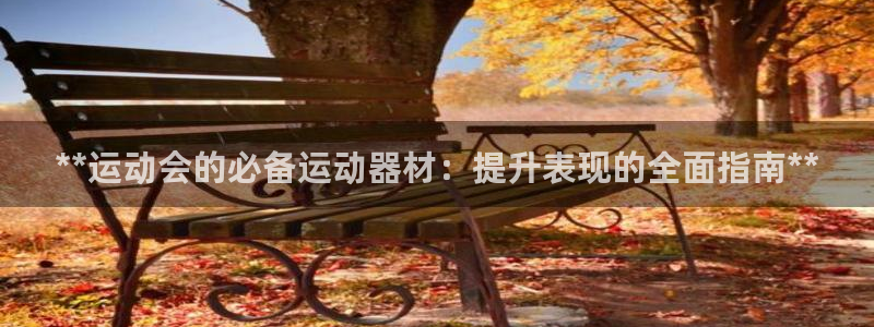 尊龙D88现金旧版：**运动会的必备运动器材：提升表