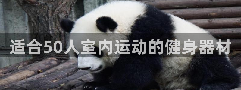 凯时AG网：适合50人室内运动的健身器材