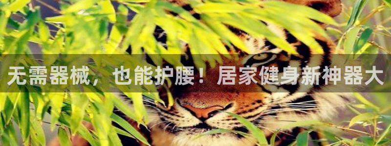 尊龙目前照片：无需器械，也能护腰！居家健身新神器大