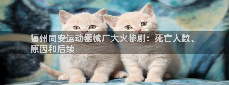 尊龙实业有限公司属于国企吗：福州同安运动器械厂大火惨