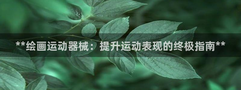 尊龙凯时官网网页版：**绘画运动器械：提升运动表现的