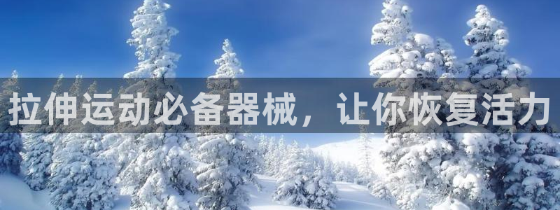 尊龙官网登录·(中国)官方网站-bd SPORTS：