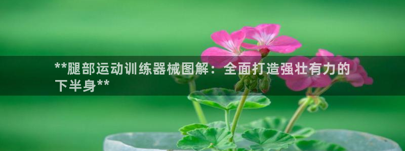 尊龙凯时 人生就是搏首页：**腿部运动训练器械图解：
