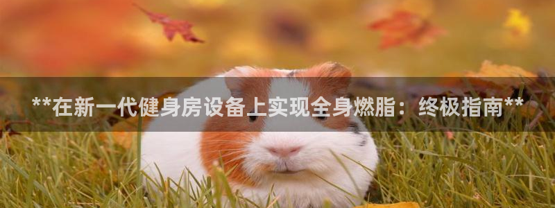 尊龙旗舰厅：**在新一代健身房设备上实现全身燃脂：终