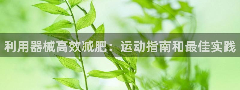 尊龙d88官网登录下载：利用器械高效减肥：运动指南和