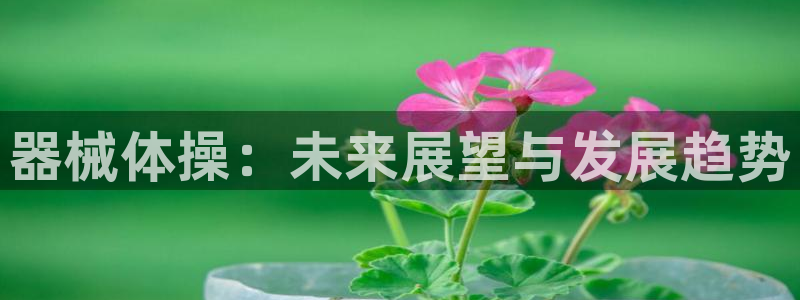 尊龙凯时能做退米么：器械体操：未来展望与发展趋势