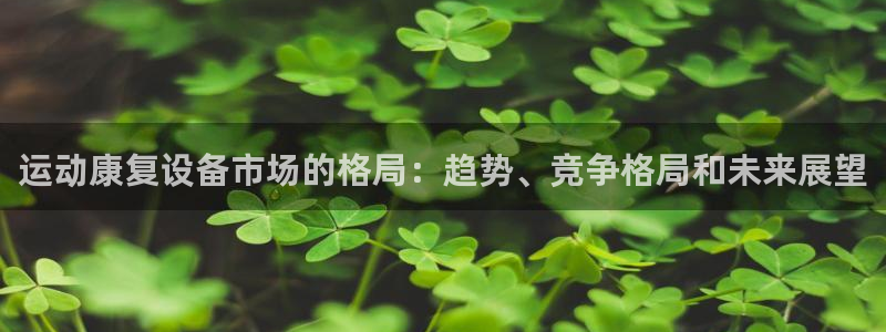 凯时国际app登录：运动康复设备市场的格局：趋势、竞
