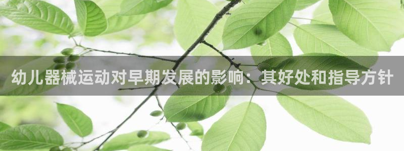尊龙凯时官网登录入口：幼儿器械运动对早期发展的影响：