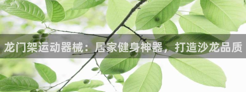z6尊龙凯时官方：龙门架运动器械：居家健身神器，打造