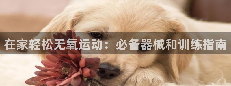 尊龙凯时ag旗舰厅：在家轻松无氧运动：必备器械和训练