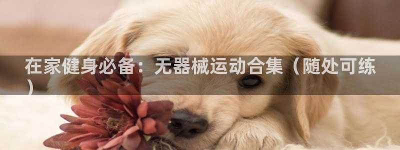 尊龙凯时官网网页版：在家健身必备：无器械运动合集（随